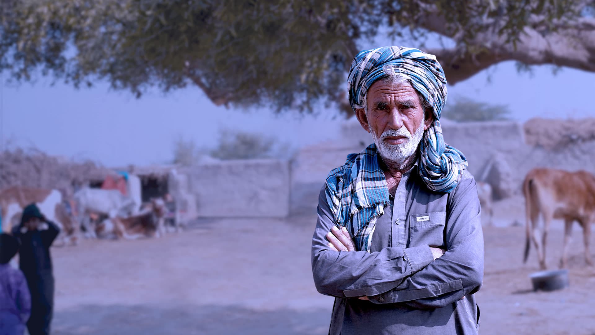 Livelihood & Food Security